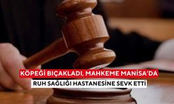 Köpeği bıçaklayan şahsı, mahkeme Manisa’da ruh sağlığı hastanesine sevk etti