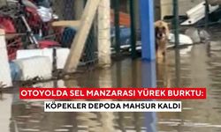 Manisa'da otoyolda sel manzarası yürek burktu: Köpekler depoda mahsur kaldı