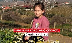 Manisa’da ağaçlar çiçek açtı, üretici endişeli