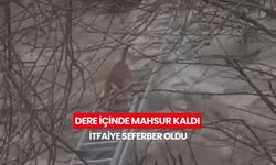 Manisa’da yürek ısıtan kurtarma! Derede mahsur kalan minik köpek kurtarıldı...