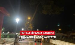 Manisa Alaşehir’de şiddetli rüzgar ağacı devirdi, cadde ulaşıma kapandı