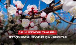 Salihli’de sert çekirdekli meyveler için monilya uyarısı