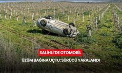 Salihli’de otomobil üzüm bağına uçtu: Sürücü yaralandı