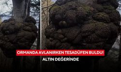 Ormanda tesadüfen buldu! Değeri dudak uçuklatıyor