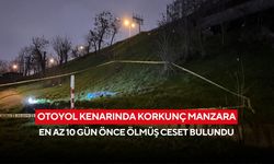 Otoyol kenarında korkunç manzara: En az 10 gün önce ölmüş ceset bulundu