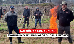 Sarıgöl’de dondurucu soğuğa rağmen bağlarda budama mesaisi