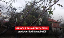 Sarıgöl’e bahar erken geldi, zirai don riski tedirginliği