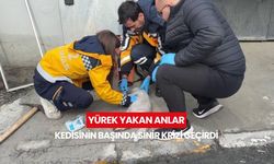 Dumandan etkilenen 'Sütlaç' kurtarılamadı, sahibi sinir krizi geçirdi