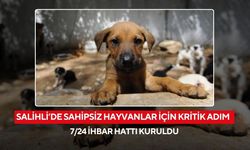 Salihli’de sahipsiz hayvanlar için kritik adım: 7/24 ihbar hattı kuruldu
