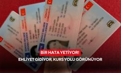 Trafikte bir hata yetiyor! Ehliyet gidiyor, kurs yolu görünüyor