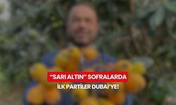 Türkiye’de erken hasat sevinci! “Sarı Altın” ilk partiler Dubai, İstanbul ve Ankara yolcusu...