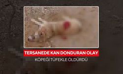 Türkiye’yi ayağa kaldıran olay... Köpeği vurup kaçmaya çalıştı