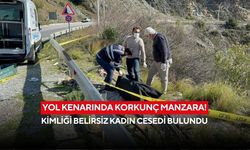Yol kenarında korkunç manzara! Kimliği belirsiz kadın cesedi bulundu