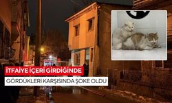 Yürek yakan yangın! İtfaiye içeri girdiğinde gördükleri karşısında şoke oldu...