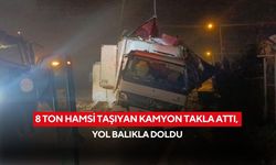 8 ton hamsi taşıyan kamyon takla attı! Tonlarca hamsi yola saçıldı, o anlar kamerada...