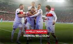 A Milli Takım'ın Dünya Kupası Play-Off maçları aday kadrosu belli oldu!