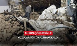 Ahırın çökmesiyle kuzular göçük altında kaldı