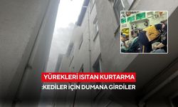 Alevlerin arasına daldılar... Kedileri için canlarını hiçe saydılar