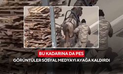Aşırı yük altında can çekişen at kamerada! Görüntüler sosyal medyayı ayağa kaldırdı...