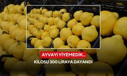Ayvayı yiyemedik...Kilosu 300 liraya dayandı