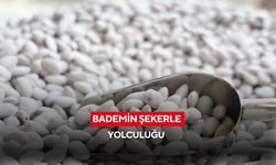 Bademin şekerle yolculuğu