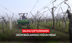 Salihli çiftçisinden üzüm bağlarında yoğun mesai
