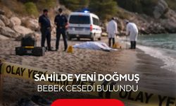 Korkunç olay: Sahilde yeni doğmuş bebek cesedi bulundu