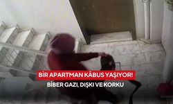 Bir apartman kâbus yaşıyor! Biber gazı, dışkı ve korku