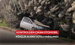 Kontrolden çıkan otomobil ağaçlık alana uçtu, 1 yaralandı