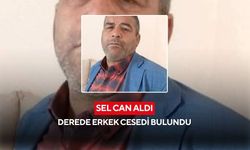 Sel can aldı: Derede erkek cesedi bulundu