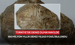 Ege bölgesinde deniz olmayan ilde 100 milyon yıllık deniz yıldızı fosili bulundu