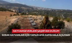 Eksiklikler nedeniyle açılmıyor! Sokak hayvanları doğal yaşam alanının akıbeti belirsiz...