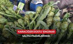 ‘Karaciğer dostu’ enginar Salihli pazarlarında