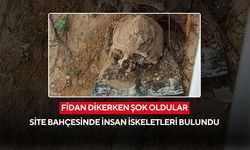 Fidan dikerken şok oldular... Site bahçesinde kafatası ve iskelet parçaları çıktı
