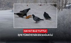 Hayat buz tuttu! İşte Türkiye’nin en soğuk ili