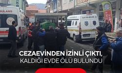 Cezaevinden izinli çıktı, kaldığı evde ölü bulundu