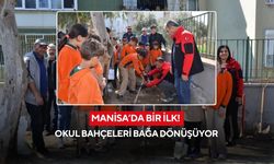 Manisa’da bir ilk! Okul bahçeleri bağa dönüşüyor