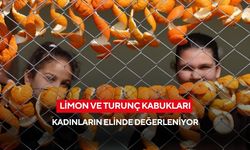 Harçlıklarını limon ve turunç kabuklarından çıkartıyorlar