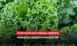 Dünyanın en yararlı sebzesi, herkes bu sebzeyi konuşuyor! Türkiye’de üretimi sınırlı sayıda
