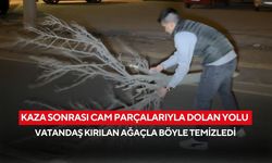 Kaza sonrası cam ve plastik parçalarıyla dolan yolu vatandaş kırılan ağaçla böyle temizledi