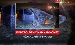 Kontrolden çıkan kamyonet ağaca çarptı: 4 yaralı