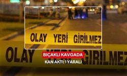 Bıçaklı kavgada kan aktı