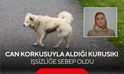 Can korkusuyla aldığı kurusıkı, işsizliğe sebep oldu