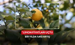 Limon fiyatları uçtu: Bir yılda %410 artış
