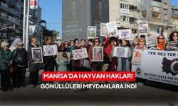 Manisa’da hayvan hakları gönüllüleri meydanlara indi
