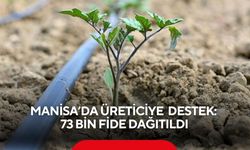 Manisa’da üreticiye büyük destek: 73 bin fide dağıtıldı