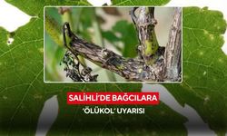 Salihli’de bağcılara kritik uyarı: Ölükol hastalığına karşı ilaçlama başlıyor