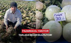 Pazarda el yakıyor, tarlada değer bulmuyor! | Çiftçiden Tarım Kredi Kooperatifleri’ne çağrı...