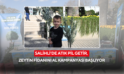 Salihli’de atık pil getir, zeytin fidanını al kampanyası başlıyor