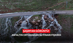 Şaşırtan görüntü! Asfaltın ortasından su pınarı fışkırdı